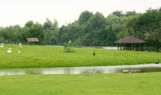 百草园是什么 百草园介绍