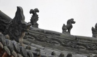 在我国建筑中多用什么形状排水 在我国建筑中多用啥形状排水