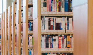 消极的不作为的意思 消极的不作为的意思是什么