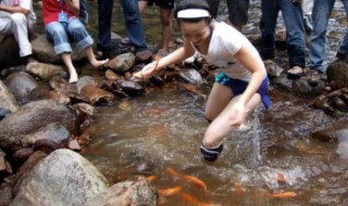 梦到捉鱼是什么意思 梦到捉鱼的解释