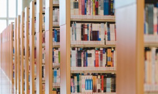 大方的意思 大方的意思是什么