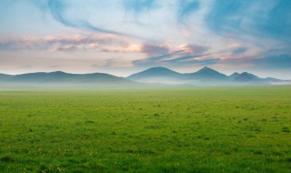草古诗意思 草古诗的全文