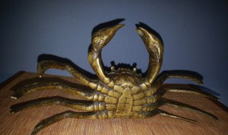 螃蟹寓意什么意思 螃蟹寓意