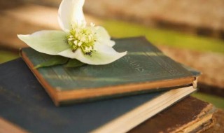 时刻的意思 时刻的含义