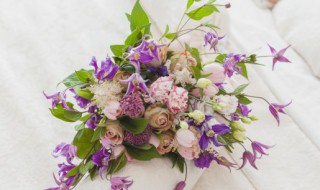 鲜花花语大全 鲜花花语介绍