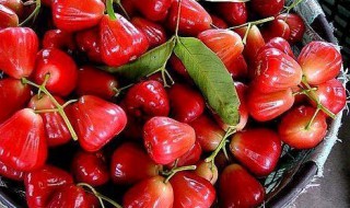 中国稀有水果 十大全国顶尖的稀有水果