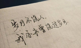 优美的句子段落摘抄 经典优美段落句子摘抄分享