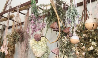 如何清洗干花 清洗干花步骤