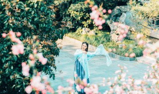 关于劝学的诗句 劝学的诗句