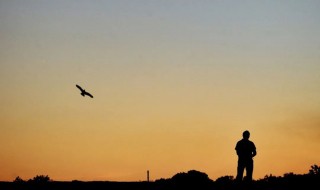 人生四大仇恨是什么 关于人生四大仇恨是什么