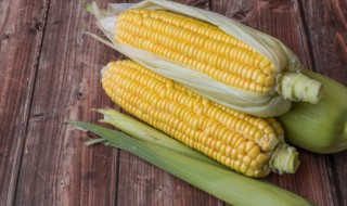 烙玉米饼的做法大全 烙玉米饼的做法有哪些