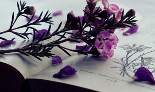 微信名字男生帅气冷酷英文名字 寓意好的微信英文网名帅气男生