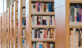 乐游原古诗意思 乐游原古诗意思及原文