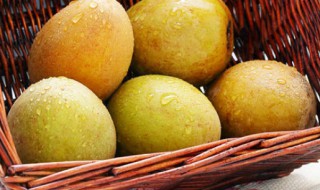 人心果煲汤做法大全 人心果的功效与作用