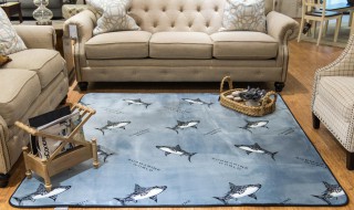 家里的地毯如何清洗 家里地毯应该如何清理