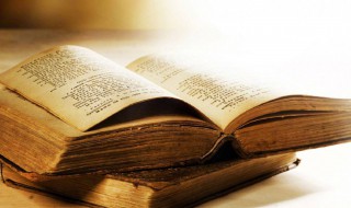 雁过拔毛有哪些造句 雁过拔毛造句有什么