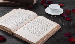 形容人的成语有哪些 形容人的成语解释