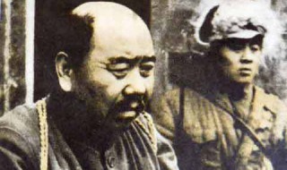 谢文东简介 谢文东介绍