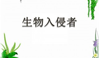 关于生物入侵者的资料 关于生物入侵者的资料是什么