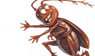 蟑螂防治最有效的方法 蟑螂防治的方法