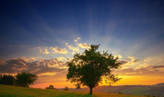 关于风景的诗句 关于风景的诗句有哪些