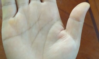 手上的线分别代表什么图解 手上的线分别代表的图解