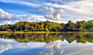 关于自然知识的谚语 自然知识的谚语