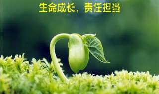 关于责任的名言古诗 关于责任的名言古诗有哪些