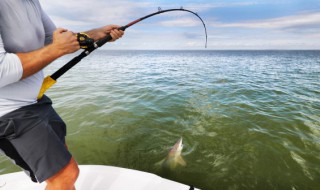抛竿饵料的制作方法 抛竿饵料怎么制作