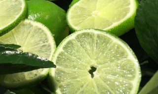 新鲜酵素的制作方法 新鲜酵素做法