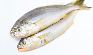 红烧黄花鱼的制作方法 红烧黄花鱼的烹饪方法