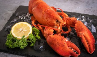 大龙虾制作方法 大龙虾的烹饪方法