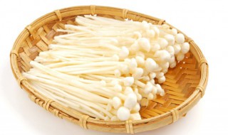 蒜蓉粉丝金针蘑的制作方法 怎么做蒜蓉粉丝金针菇