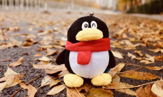 自己如何清洗毛绒玩具 毛绒玩具清洗方法