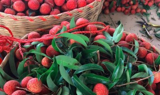 新鲜荔枝保存方法 新鲜荔枝怎么保存