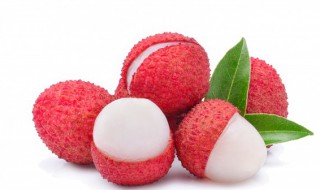 广东荔枝酒的酿制方法 广东荔枝酒怎么酿制