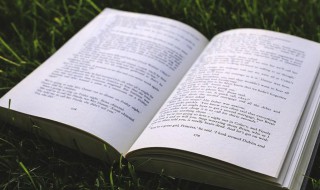 春哥什么意思 春哥解释