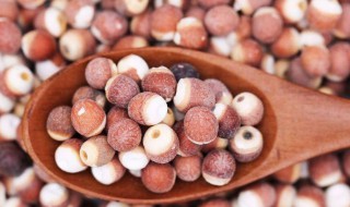 芡实哪四种人不能吃 哪些人不适合吃芡实