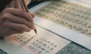 素的意思少年闰土中 少年闰土中素的意思