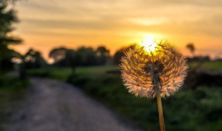 微博名英文 微博名字英文简单气质