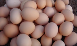 受精蛋和普通蛋区别在哪 受精蛋和普通蛋有什么区别