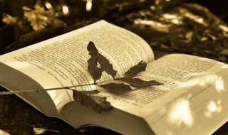 不置一词是什么意思 不置一词解释