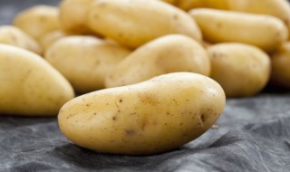 西红柿炖土豆的家常做法 怎么做西红柿炖土豆