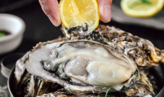 生蚝一天吃多少合适 每天吃多少生蚝比较好