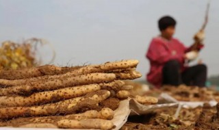 铁棍山药一天吃多少合适 一天吃铁棍山药合适的量
