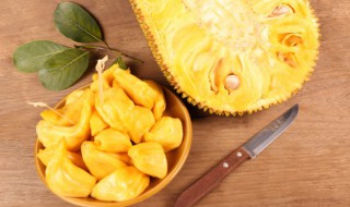 菠萝蜜核除了煮还能怎么吃 菠萝蜜核除了煮还能煮粥吗