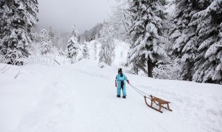 梦见地上有雪但不下雪 梦见地上有雪但不下雪 好不好