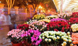 梦见很多花 梦见很多花的解释