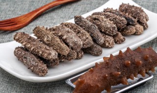 常吃海参有什么好处和坏处 常吃海参有哪些好处和坏处