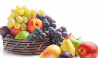 葡萄苗第一年如何管理 葡萄苗第一年管理的方法